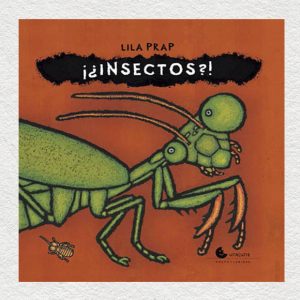 ¡¿Insectos?!